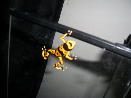 100_1095.jpg