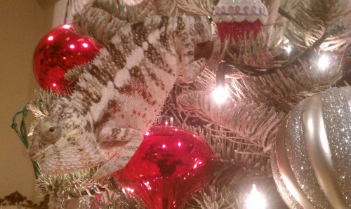 ice man 3 xmass 2011.jpg