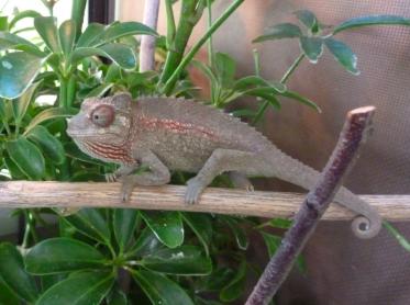 Screen shot 2012-01-01 at 4.32.44 PM.jpg