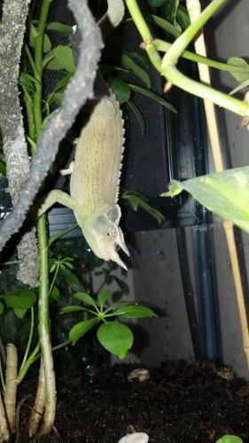 2012-01-01_17-16-59_345.jpg