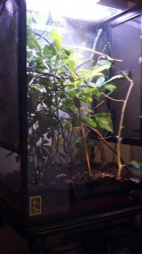 2012-01-01_17-25-01_766.jpg