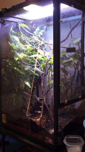 2012-01-01_17-25-29_243.jpg