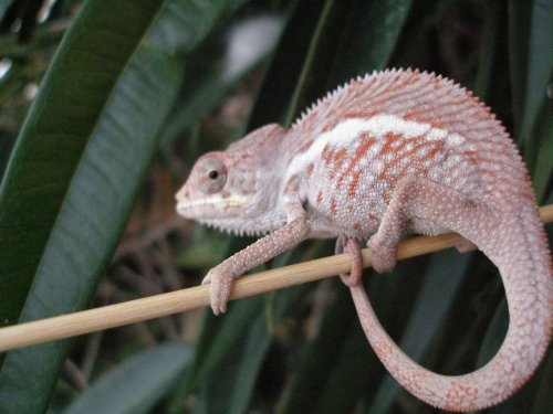 P1020284 [1600x1200].jpg