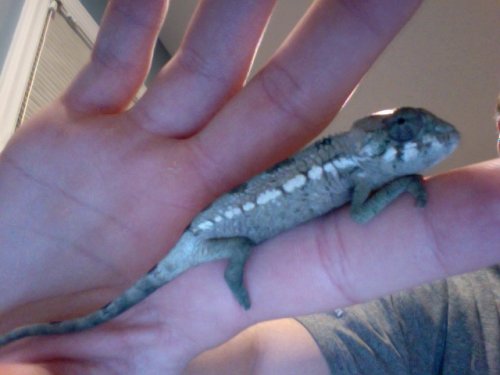 Photo on 2012-01-03 at 20.36 #3.jpg