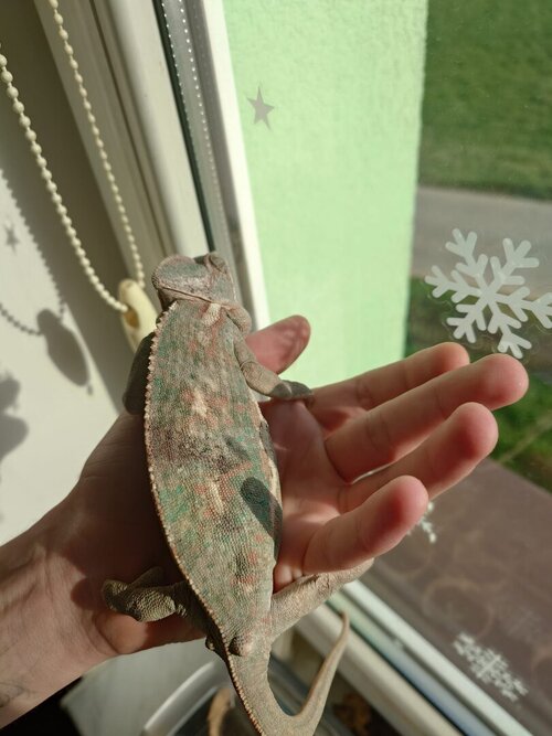 WhatsApp Image 2024-05-06 at 17.34.45 (1).jpeg