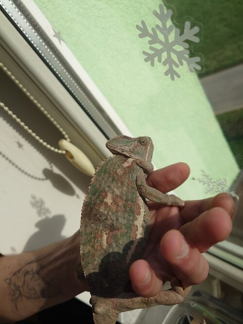 WhatsApp Image 2024-05-06 at 17.34.45.jpeg