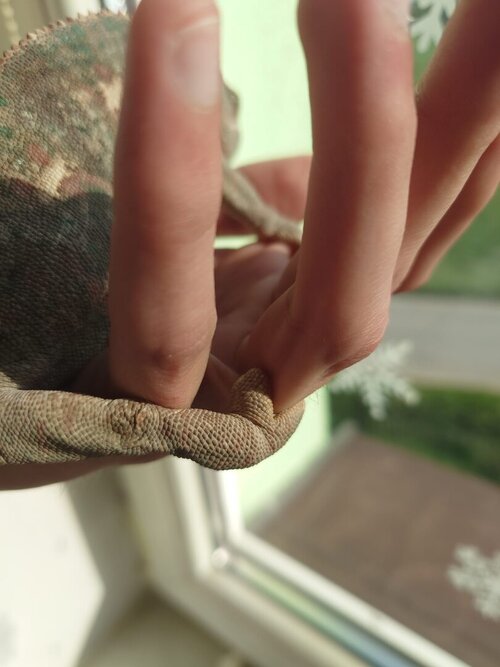 WhatsApp Image 2024-05-06 at 17.34.44 (1).jpeg