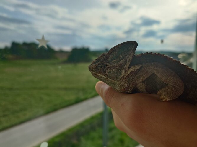 WhatsApp Image 2024-05-06 at 17.34.44.jpeg