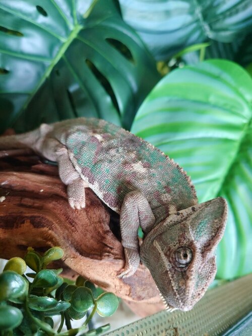 WhatsApp Image 2024-05-06 at 17.30.29 (1).jpeg