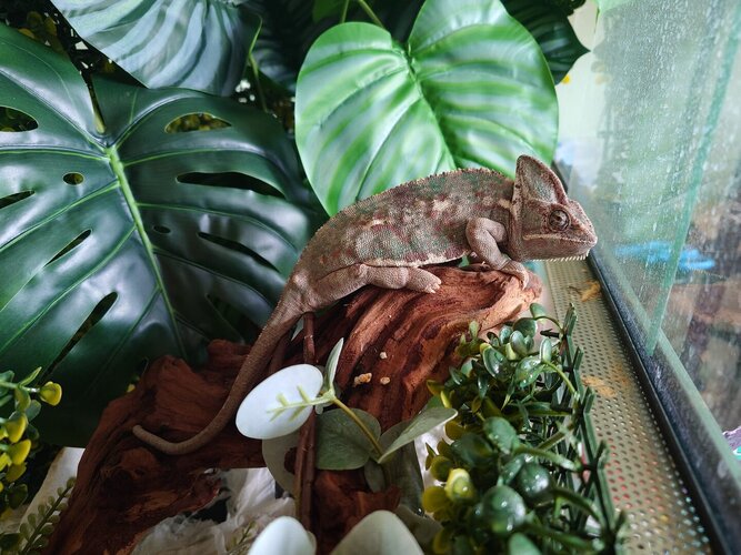 WhatsApp Image 2024-05-06 at 17.30.29.jpeg