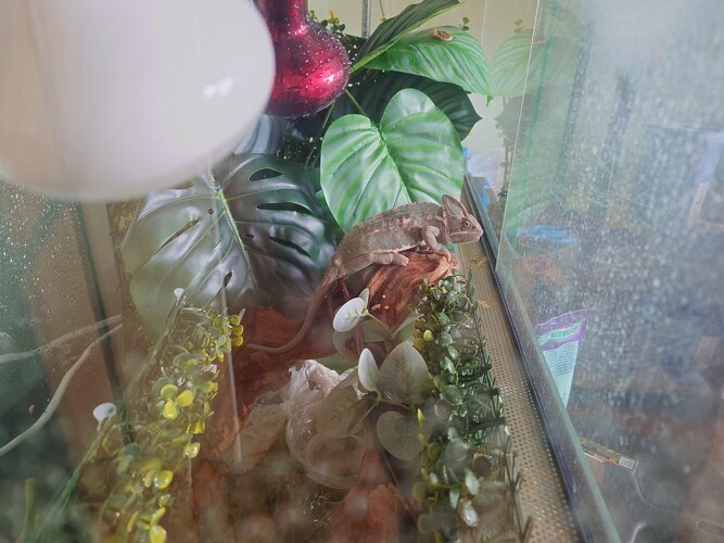 WhatsApp Image 2024-05-06 at 17.30.28.jpeg