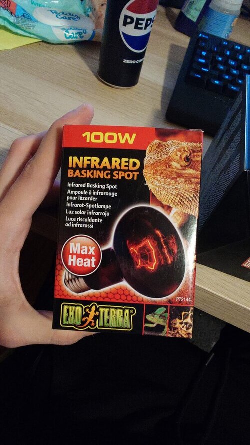 WhatsApp Image 2024-05-06 at 22.47.45.jpeg