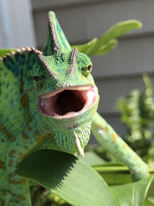 IMG_0882.jpeg