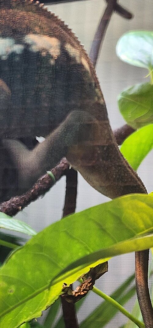 20240521_094558.jpg