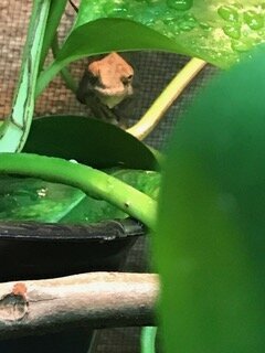 IMG_0287.jpeg