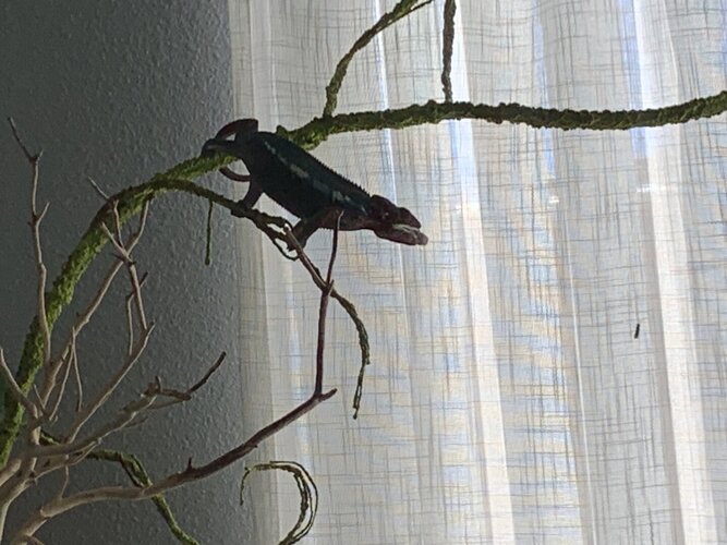 IMG_1486.jpeg