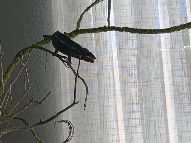 IMG_1487.jpeg