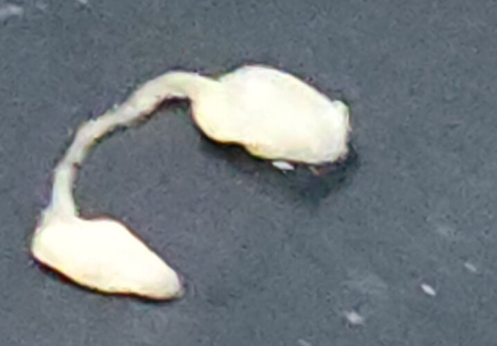 20240629_182402.jpg