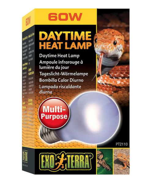 Screenshot 2024-08-05 at 5.59.25 PM.png