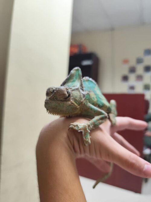 Imagen de WhatsApp 2024-11-27 a las 18.00.52_d63009b7.jpg