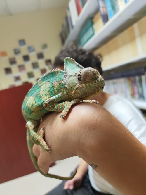 Imagen de WhatsApp 2024-11-27 a las 18.00.51_ebf1ab0e.jpg