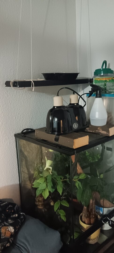 20250324_201106.jpg