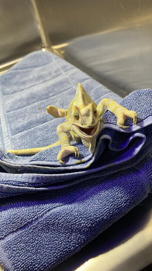 WhatsApp Image 2025-03-26 at 14.42.53_dbfa9028.jpg