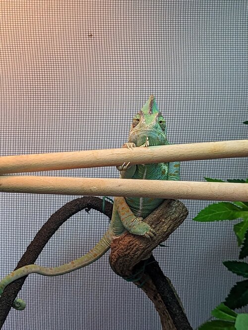 WhatsApp Image 2025-03-26 at 14.44.11_8660b2cb.jpg