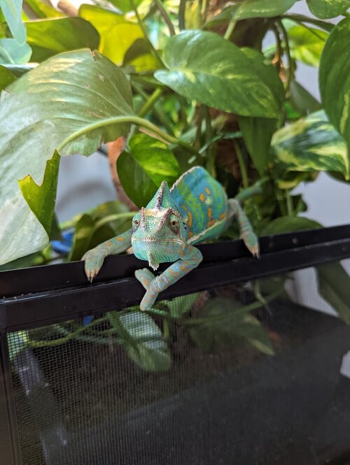 WhatsApp Image 2025-03-26 at 14.44.11_d902f2de.jpg