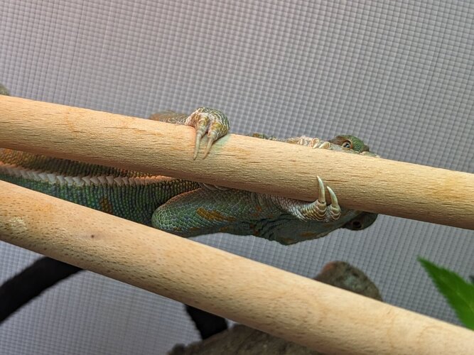 WhatsApp Image 2025-03-26 at 14.44.11_f27e34ec.jpg