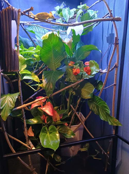 Screenshot 2025-04-06 150706.png