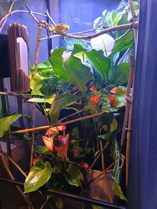 Screenshot 2025-04-06 150654.png