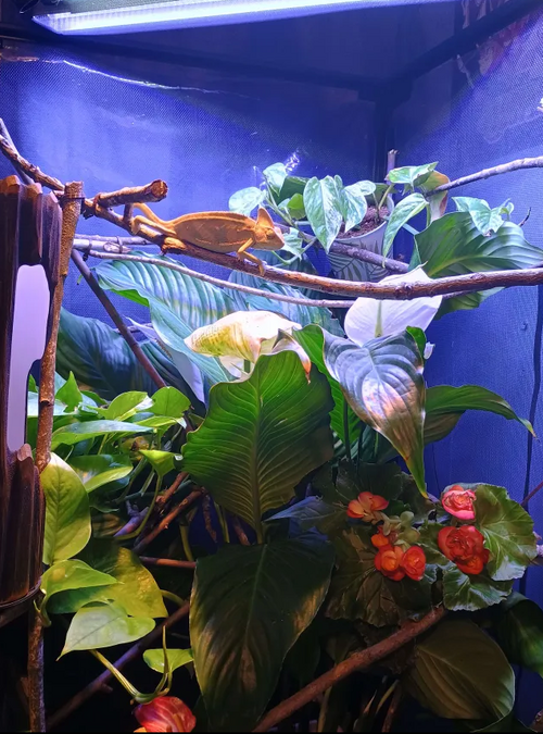 Screenshot 2025-04-06 150620.png