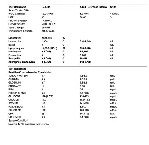 Image 4-17-25 at 7.09 PM.jpg