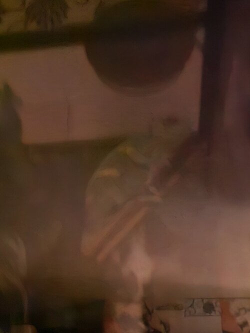20250421_202120.jpg