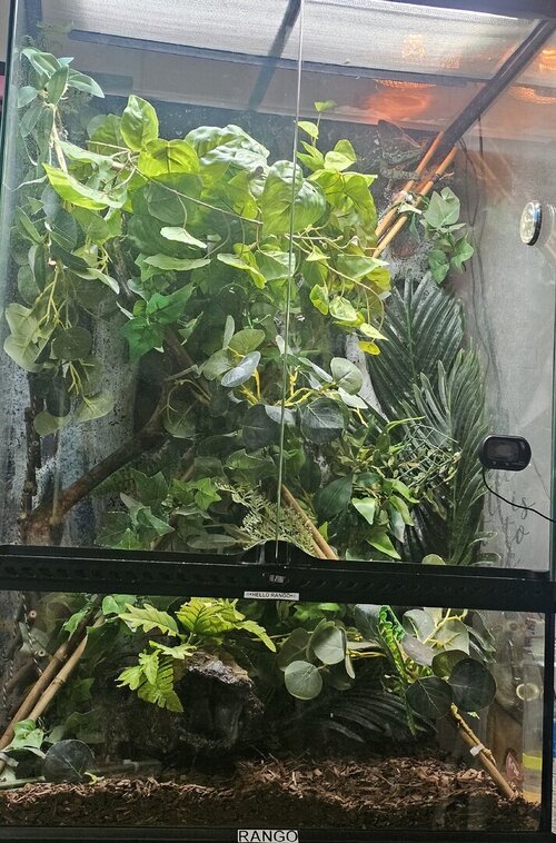 20250419_170112.jpg