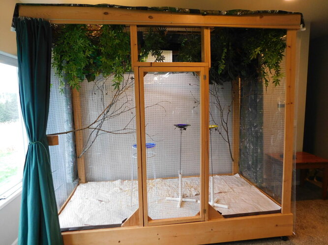 honeycreeper setup.JPG