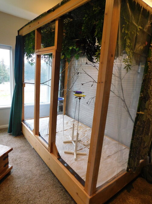 honeycreeper setup2.JPG