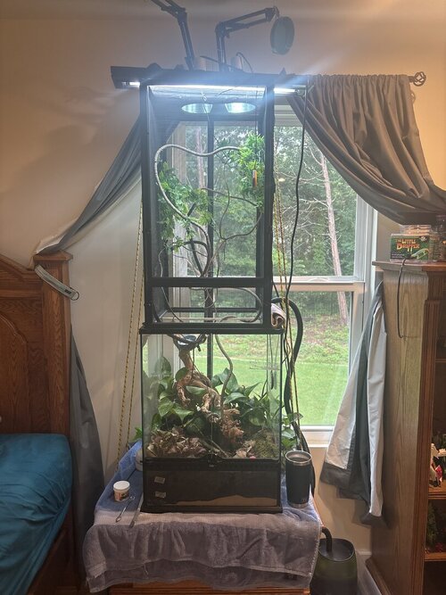 How’s my diy set up looking?