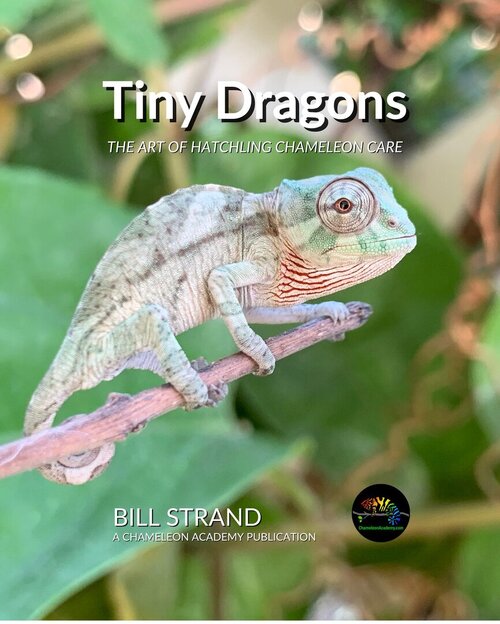 Book Cover.jpg