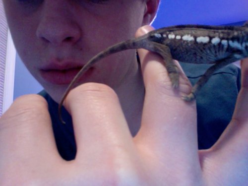 Photo on 2012-01-07 at 01.38 #2.jpg