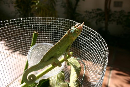 IMG_7649.jpg