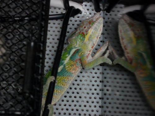 P1040121 (1280x960).jpg