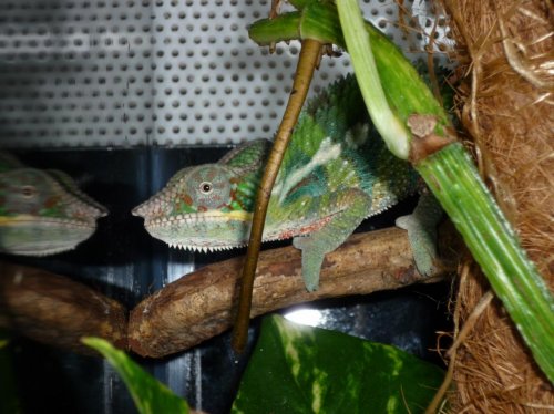 P1040136 (1280x960).jpg