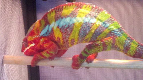 2012-01-02_17-13-42_580.jpg