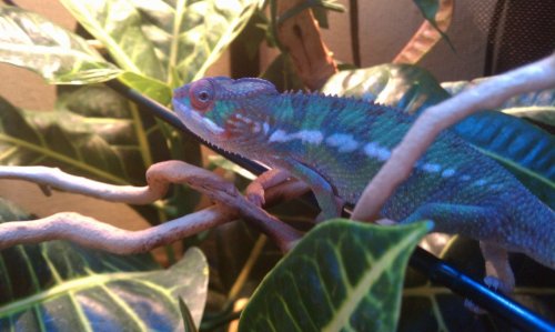IMAG0397 2.jpg