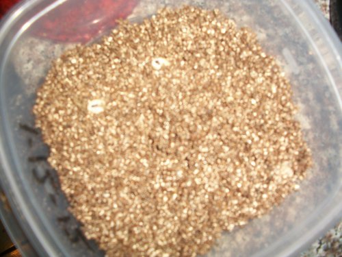 100_1264.jpg