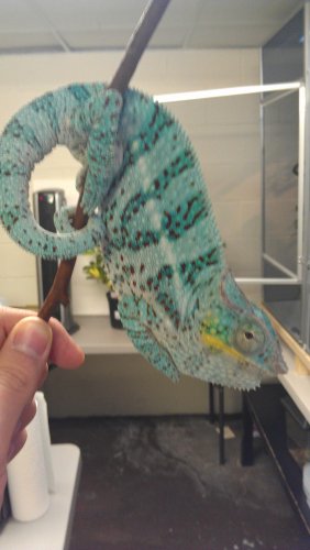 IMAG0488.jpg