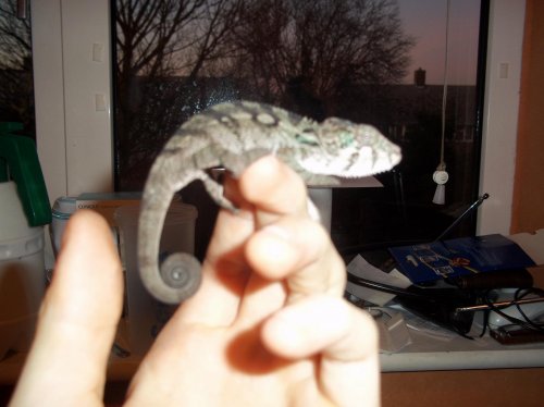 100_0177.jpg