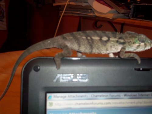 100_0184.jpg